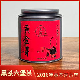 【入门必喝】六山知野丨2016年黄金芽六堡茶 黑茶 特级 50g/250g/2500g