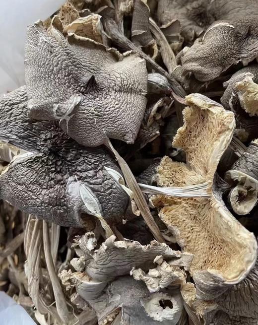 苍耕洱作野生干鸡枞100g 商品图6