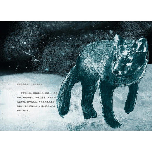 魔法象  故事森林   莱拉和蓝狐 商品图6