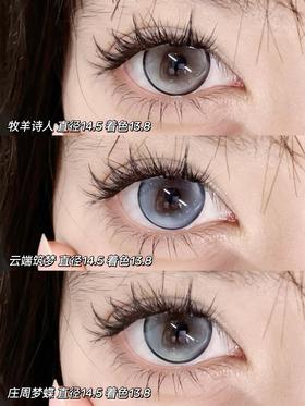 【月抛大直径】GURUUCON-牧羊诗人/云端筑梦/庄周梦蝶-14.5mm【月抛 0-800度 无525/575】