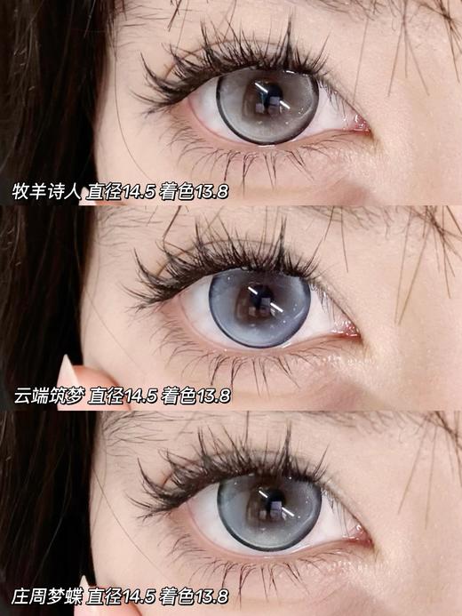 【月抛大直径】GURUUCON-牧羊诗人/云端筑梦/庄周梦蝶-14.5mm【月抛 0-800度 无525/575】 商品图0