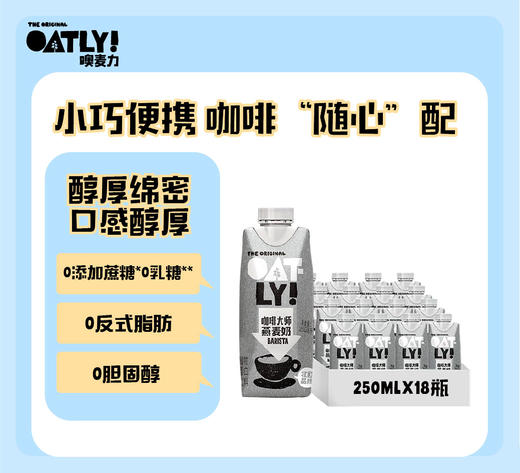 【咖啡伴侣】便携随身装咖啡大师250ML*18 商品图0