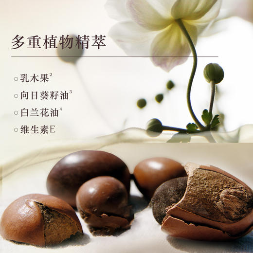 3253581771631 欧舒丹L'OCCITANE 欧舒丹青提恋樱身体乳250ML润肤秋冬干皮止痒 商品图3