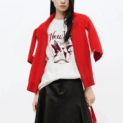 F013027短袖T恤2026春新品棉质双层植绒印花新年燕子 商品图4