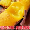 【软糯绵密❗️细腻无丝】云南黄金榴莲蜜薯玛莎莉当季新鲜10斤沙地蜜薯地瓜番薯烤红薯。jc 商品缩略图2