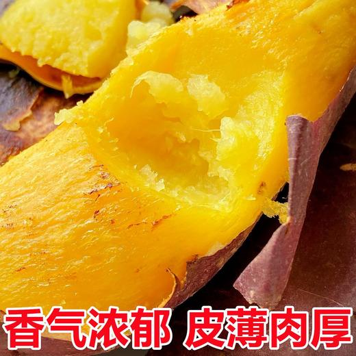 【软糯绵密❗️细腻无丝】云南黄金榴莲蜜薯玛莎莉当季新鲜10斤沙地蜜薯地瓜番薯烤红薯。jc 商品图2
