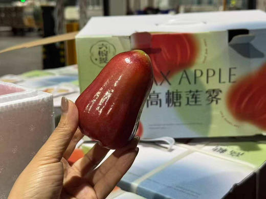 空运莲雾 新鲜水嫩多汁，雾霾ke星！ 商品图1