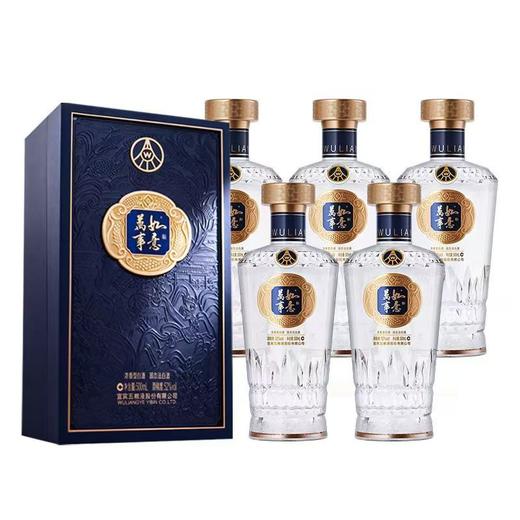 【嫡系新品】五粮液股份 万事如意 源顺 浓香型白酒 52度 500ml*6瓶整箱 商品图0