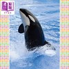 【中商原版】海洋小百科 港台原版 少儿百科知识科普读物 浅显易懂 科学知识全幅彩图书 童书6-12岁 精装 幼福儿童图书 商品缩略图4