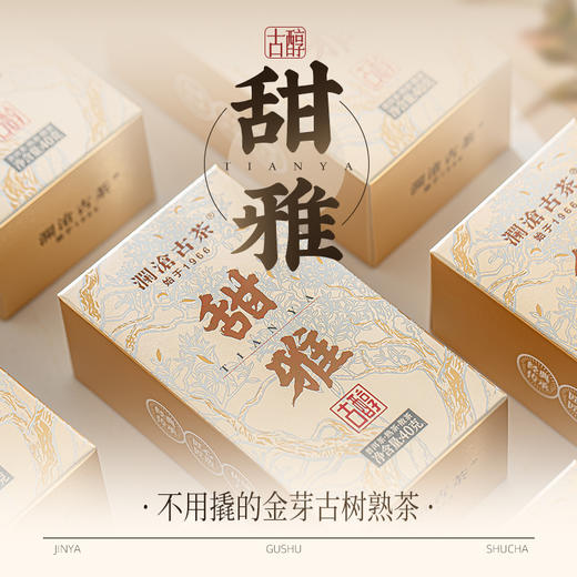 澜沧古茶2024年古醇·甜雅名山古树熟茶散茶40g 商品图0