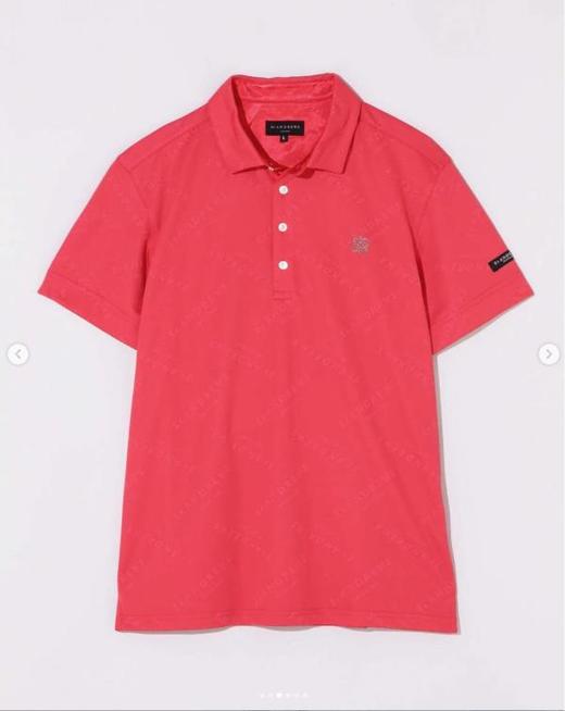 日本St ANDREWS高尔夫男装夏季吸汗速干翻领短袖T恤 商品图1