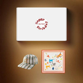 2月V3会员生日限定礼盒