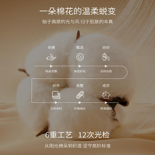 欧芮儿轻法式丝巾设计感印花圆领短袖T恤女夏季2026新款纯棉上衣 商品图3