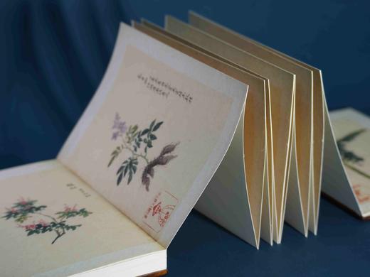 【重磅推荐】“稀见彩绘本选粹”第一部：《南方草木状图》，册页装，全一册，[晋]嵇含撰，浙江古籍出版社2025年10月一版一印，定价1280，售价880元。 商品图7