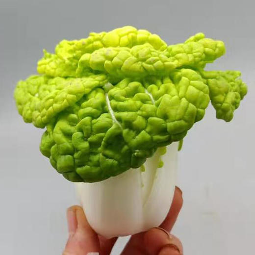 【HFS】农家乌菜 350g/份 太平海农业 商品图1