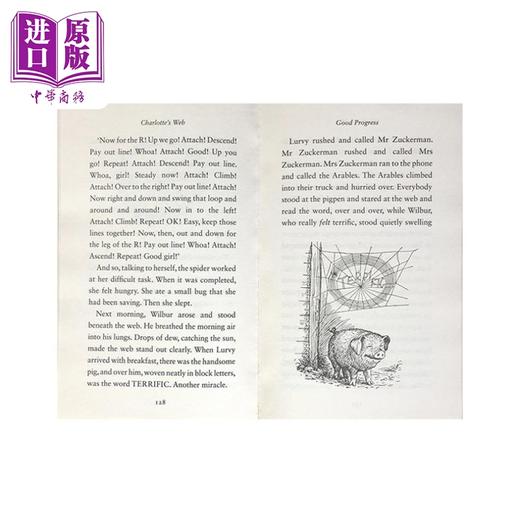【中商原版】企鹅经典读物奇迹男孩（护眼版）+纽伯瑞：夏洛的网（英国版）共2册 英文原版 儿童经典文学读物小说 7岁以上 商品图3
