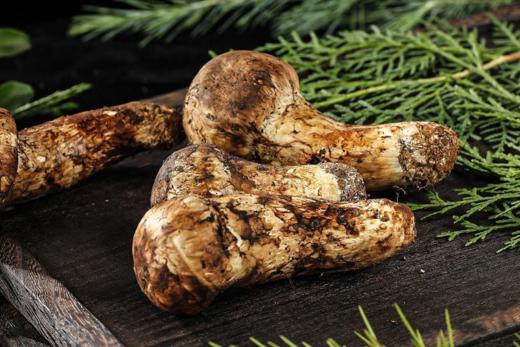 苍耕洱作野生松茸80g 商品图8