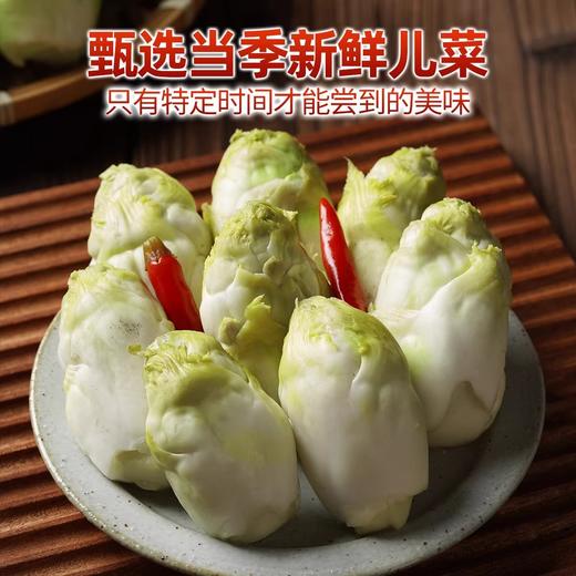 【独具四川风味❗️酸脆爽口】四川泡菜泡儿菜娃娃菜观音菜即食下饭菜爽口泡菜腌制榨菜新鲜儿菜。jc 商品图2