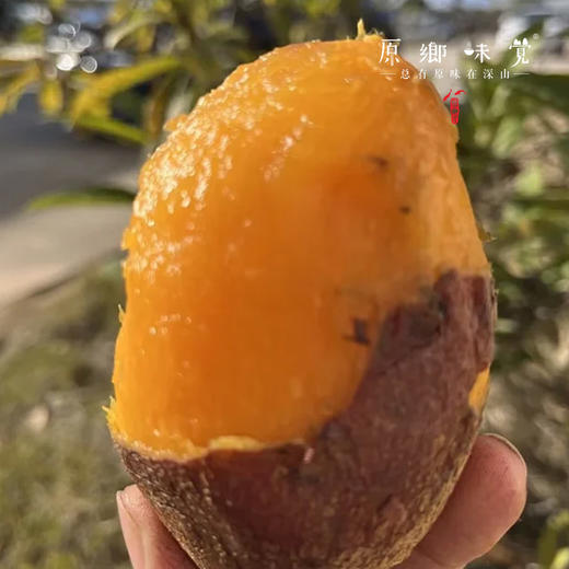 生态红薯干（成都仓库-顺丰快递）| 400g/袋，来自福建南平，生产者：黄璇【合作生产，公平贸易】 商品图2