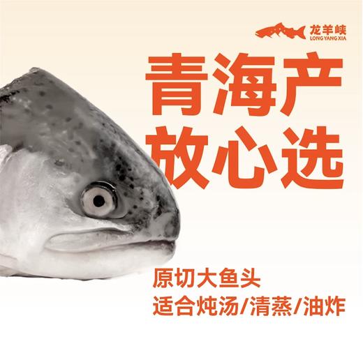 鱼头200g 商品图0