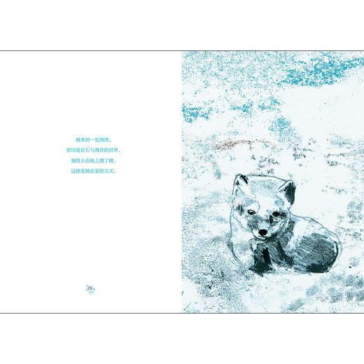 魔法象  故事森林   莱拉和蓝狐 商品图7