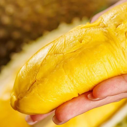 马来西亚树熟猫山王榴莲 3.1-3.5斤保4房 马来西亚核心产区 高山老树 自然树熟榴莲整果 -110液氮急冻 风味0流失 肉厚核小 保出4房 商品图1