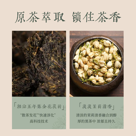 【甄选】后辰铂金黑茶固体饮料清爽解腻醇厚茶香独立包装20g/盒（1g*20袋） 商品图4