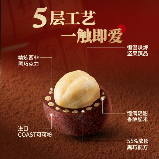 春节礼盒合集（含普通款）赠礼袋纯可可脂 商品图4