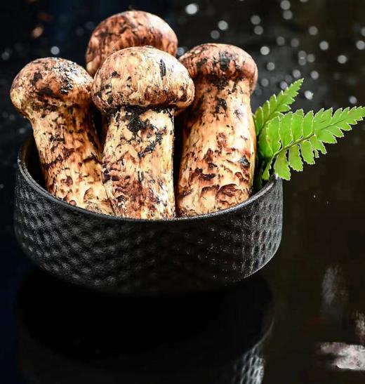 苍耕洱作野生松茸80g 商品图4