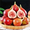 【软糯清甜❗️果肉绵密】四川云南无花果产地直发波姬红无花果新鲜水果无花果。jc 商品缩略图0
