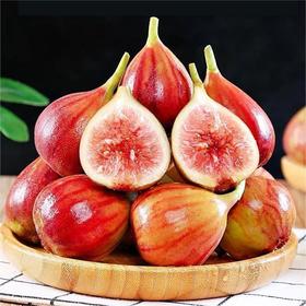 【软糯清甜❗️果肉绵密】四川云南无花果产地直发波姬红无花果新鲜水果无花果。jc