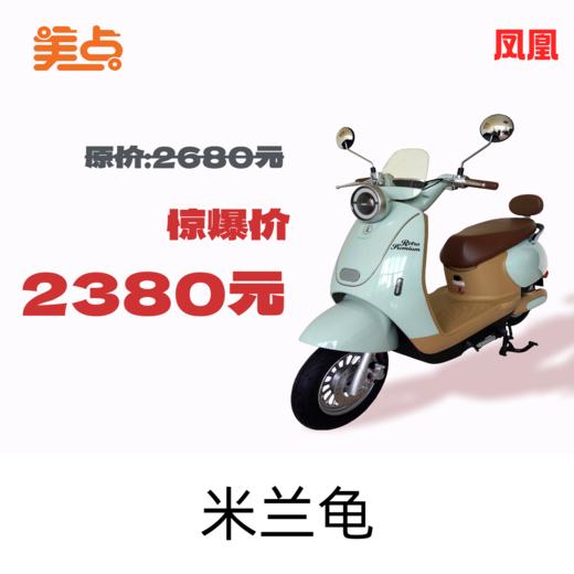 美点-创豪-米兰龟 商品图0