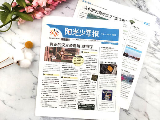 【送音频卡+记事本随机一册】阳光少年报小学版 1年共约42期  月月投（每月一发） 商品图2