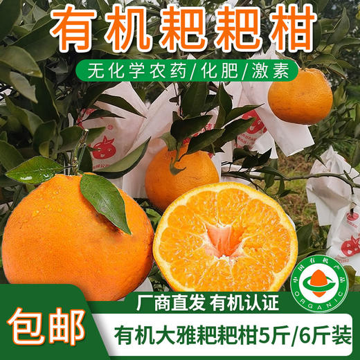 【厂商直发】四川痴农夫有机大雅耙耙柑5斤/6斤装果肉清甜多汁新鲜包邮 商品图0