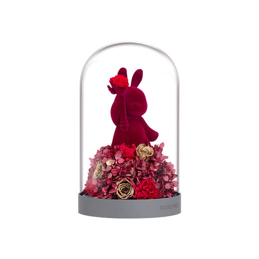 【水晶之恋】ROSEONLY诺誓 永生玫瑰花 水晶之恋钟罩 玫瑰心宠 永生花情人节告白礼物 摆件 商品图2
