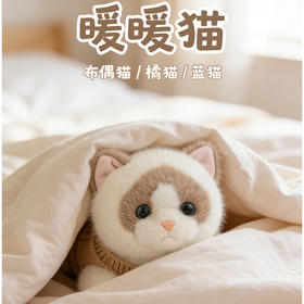 45CM暖暖猫毛绒公仔-纪念日百货门店同款169601881