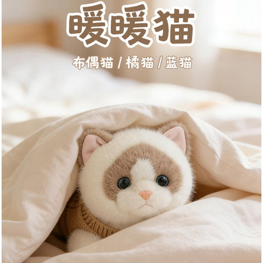 45CM暖暖猫毛绒公仔-纪念日百货门店同款169601881 商品图0
