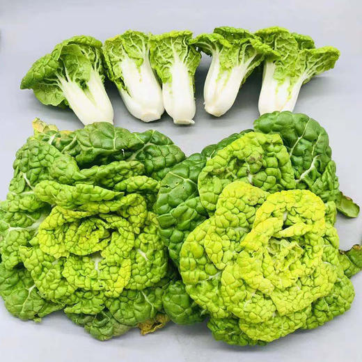 【HFS】农家乌菜 350g/份 太平海农业 商品图0