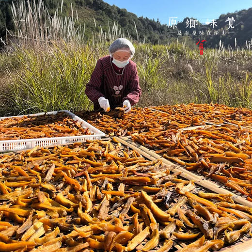 生态红薯干（成都仓库-顺丰快递）| 400g/袋，来自福建南平，生产者：黄璇【合作生产，公平贸易】 商品图4