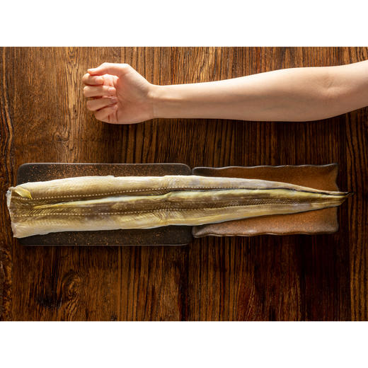 快晓鲜渤海湾星康吉鳗|出口级别、0调味，简单煎也鲜嫩弹|鳗鱼 商品图9