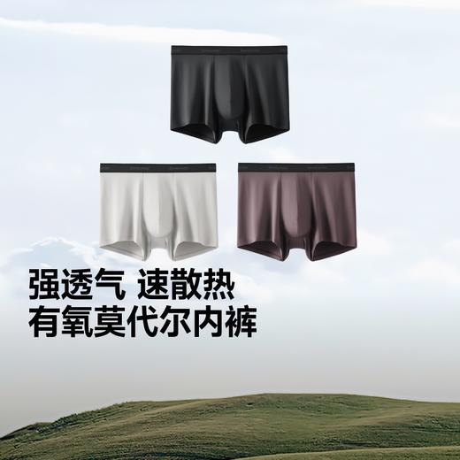 【26春夏新品】蕉下男士透气莫代尔内裤（3条装）AF005 商品图0