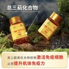 白云山汉方广药牌灵芝孢子油软胶囊400mg*30粒增强免疫力世界五百强送礼 孢子油软胶囊400mg*30粒*6瓶 商品缩略图13