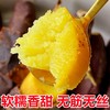 【软糯绵密❗️细腻无丝】云南黄金榴莲蜜薯玛莎莉当季新鲜10斤沙地蜜薯地瓜番薯烤红薯。jc 商品缩略图3