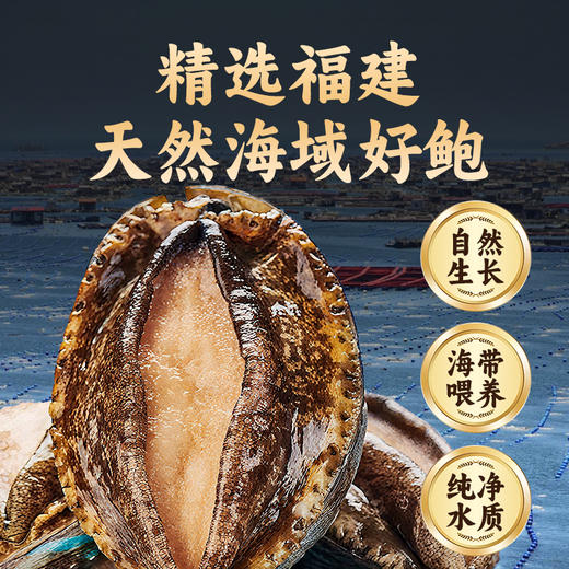 【官方240元 内购价138元】香港启泰 红烧鲍鱼罐头425克*2【内购】 商品图4