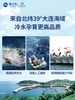 獐子岛大连特产干货深海底播辽刺参淡干海参畅享100g 商品缩略图4