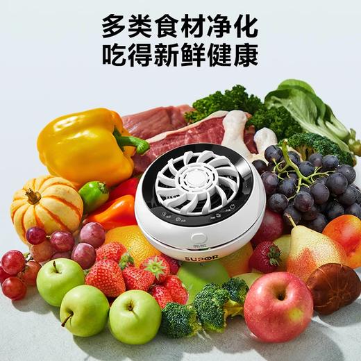 苏泊尔果蔬净化机 食材净化器水果蔬菜肉类谷物多功能清洗器 蓝光杀菌去农残无线便携式洗菜机 清洗神器 【旗舰升级款】升级数显丨四大模式切换GS20 商品图6