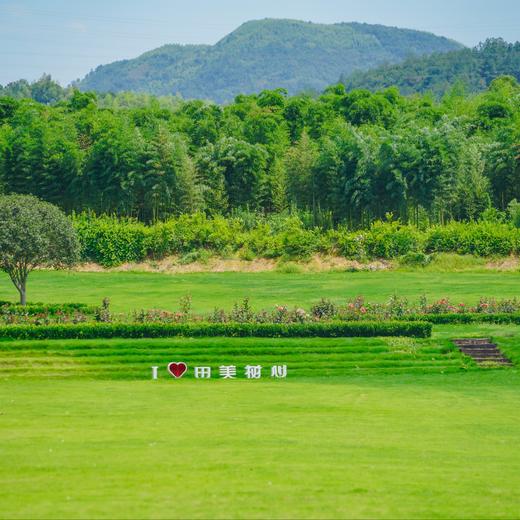 湖州德清 树心营地·亲子乐园套票 商品图7