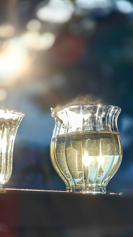 【薄荷塘白茶】2025年300年以上树龄的古树采制，白茶巅峰，顶尖，没有之一，传统自然萎调，甜润雅致好滋味 商品图2