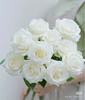 现货白色骄傲玫瑰一扎10支 支长50厘米，享受会员价 商品缩略图2