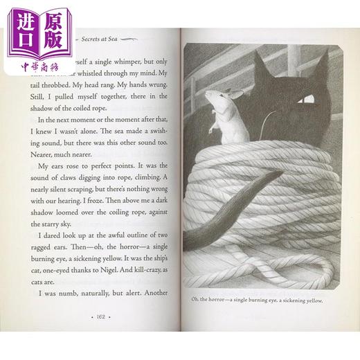 预售 【中商原版】纽伯瑞获奖书单25册 低年级套装 蓝思指数560L-790L 青少年小说读物 商品图1